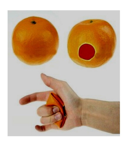 어피어링 귤Appearing Orange